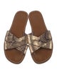 Celine Leather Animal Print Slides