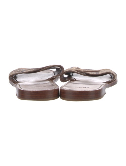 Celine Leather Animal Print Slides