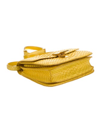 Celine Python Classic Medium