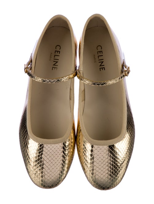 Celine Ballerina Les Ballerines Leather Mary Jane Flats