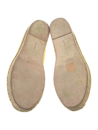 Celine Ponyhair Espadrilles
