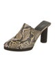 Celine Python Animal Print Mules