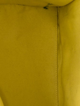 Celine Leather Luggage Mini