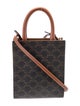 Celine Triomphe Vertical Cabas Mini