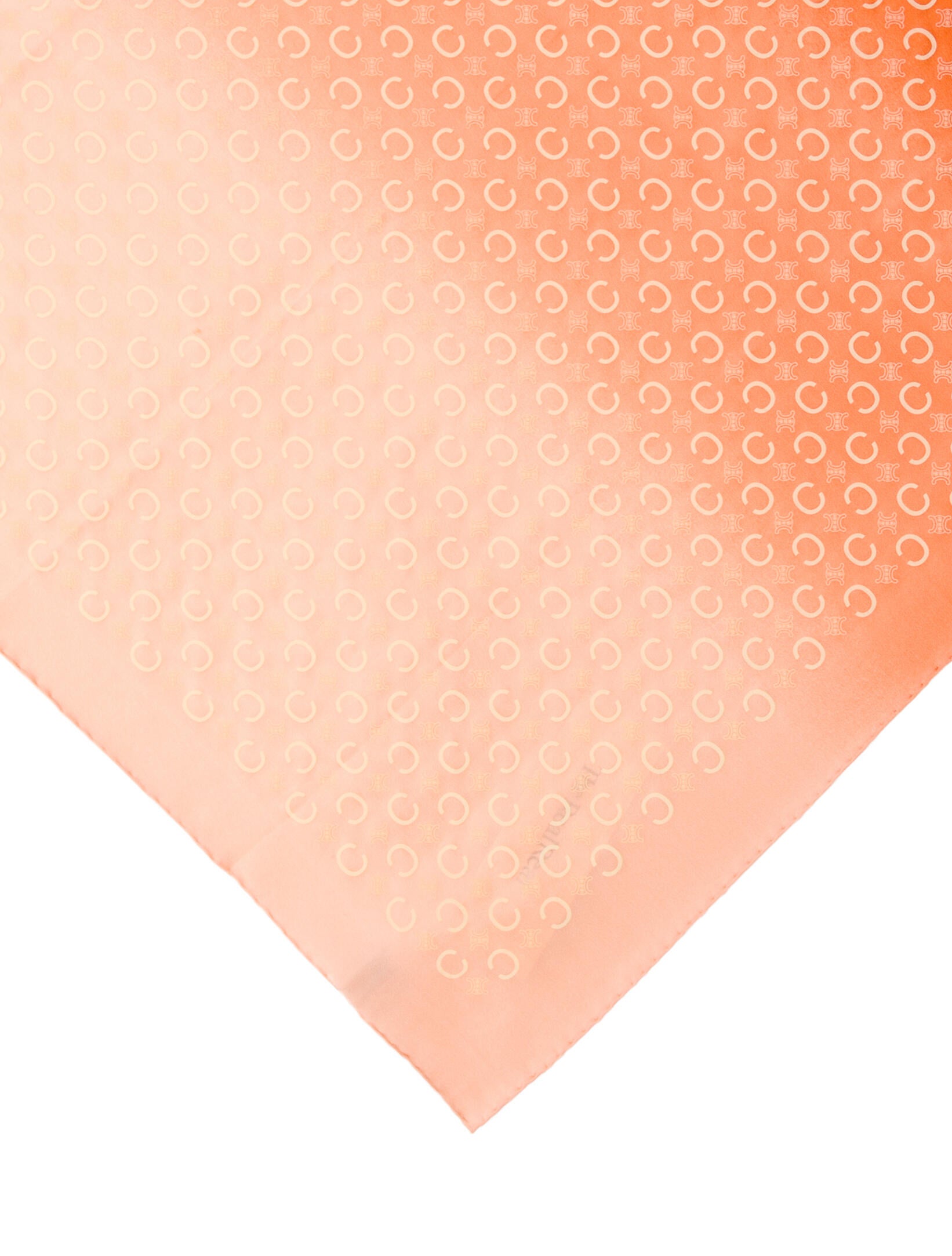 Celine Silk Printed Scarf