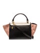 Celine Leather Trapeze Medium