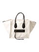 Celine Canvas Luggage Phantom Medium