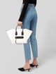 Celine Canvas Luggage Phantom Medium