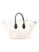 Celine Canvas Luggage Phantom Medium