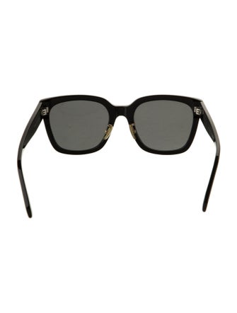 Celine Wayfarer Tinted Sunglasses