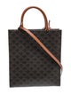 Celine Triomphe Vertical Cabas Small