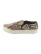 Celine Snakeskin Animal Print Sneakers