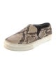 Celine Snakeskin Animal Print Sneakers