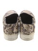 Celine Snakeskin Animal Print Sneakers