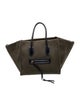 Celine Canvas Luggage Phantom Medium