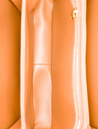 Celine Calfskin Triomphe Medium