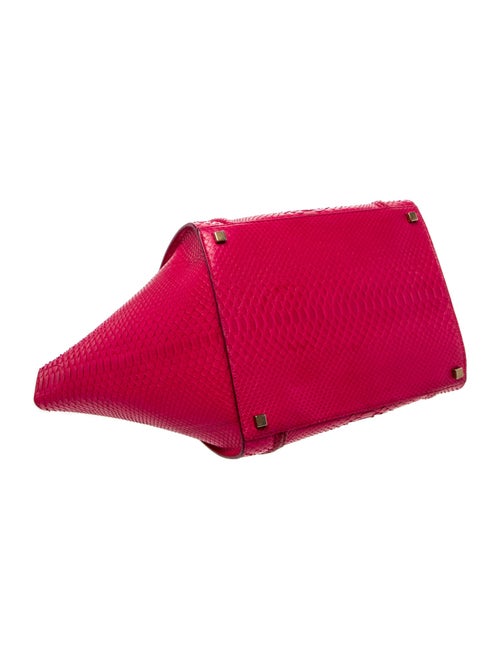 Celine Python Luggage Phantom Medium