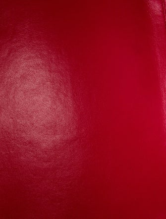 Celine Python Luggage Phantom Medium