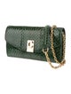 Celine Water Snake C Wallet on Chain