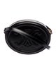 Celine Triomphe Oval Bag 2023