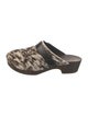 Celine Ponyhair Animal Print Mules