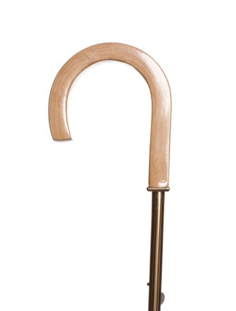 Celine Triomphe Embroidered Moonbat Umbrella