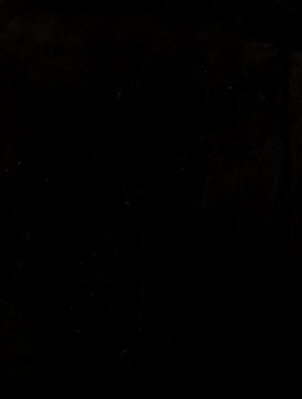 Celine Leather Cabas Phantom w/Belt Medium