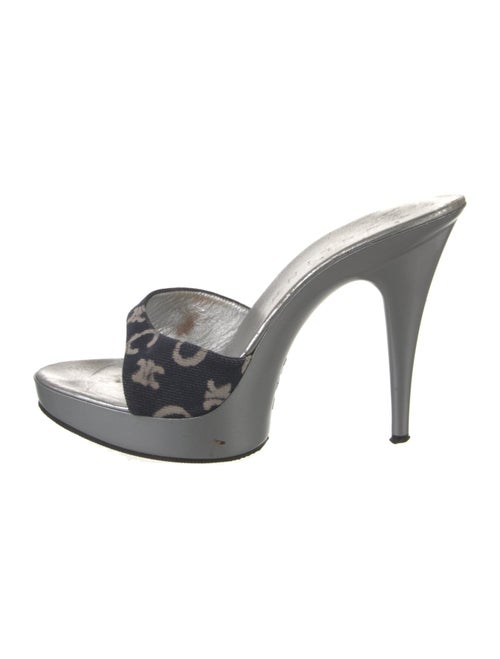 Celine Canvas Printed Slides