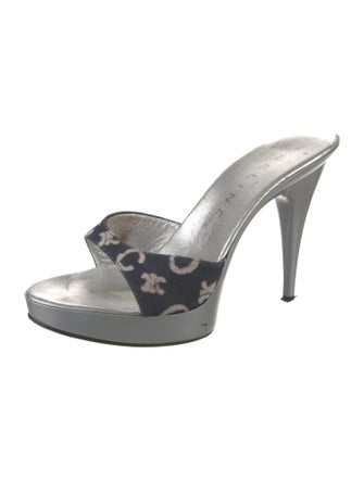 Celine Canvas Printed Slides