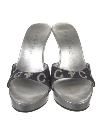 Celine Canvas Printed Slides