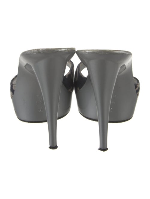 Celine Canvas Printed Slides