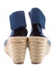 Celine Ponyhair Espadrilles