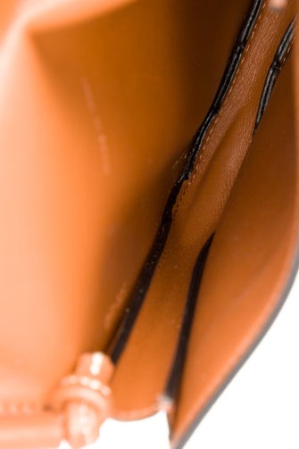 Celine Triomphe Triomphe phone pouch 2022