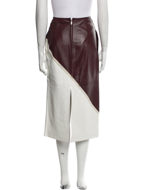Celine 2018 Midi Length Skirt
