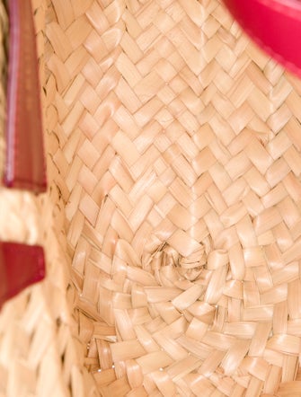 Celine Raffia Triomphe 2022