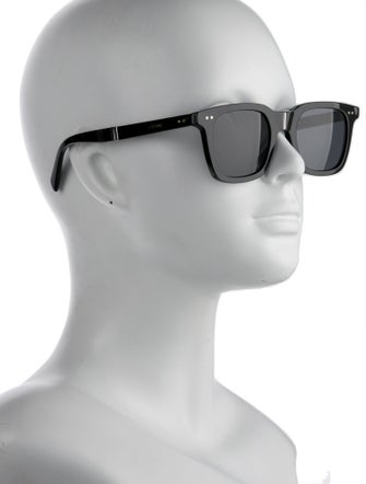 Celine Wayfarer Tinted Sunglasses