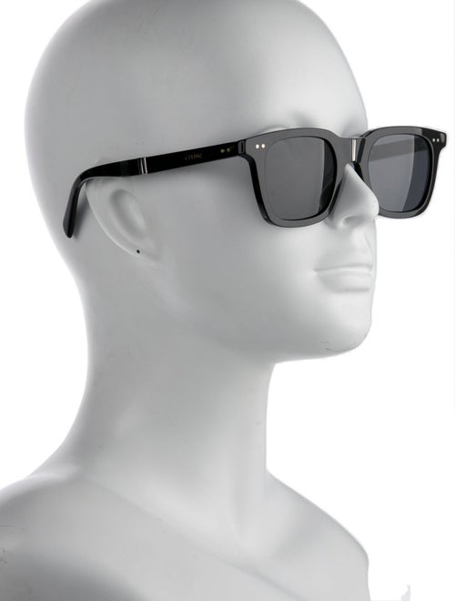 Celine Wayfarer Tinted Sunglasses