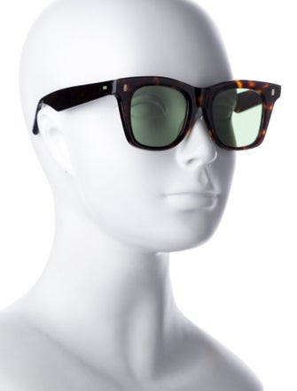 Celine Wayfarer Tinted Sunglasses