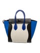 Celine Canvas Luggage Mini