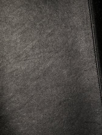 Celine Canvas Luggage Mini