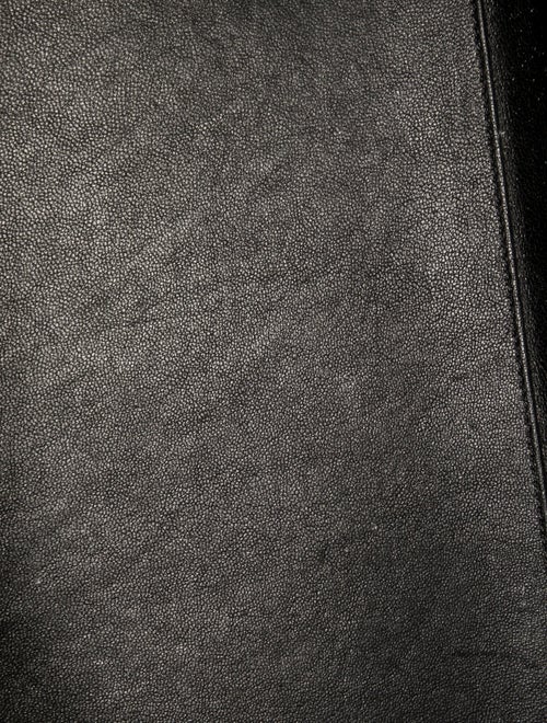 Celine Canvas Luggage Mini