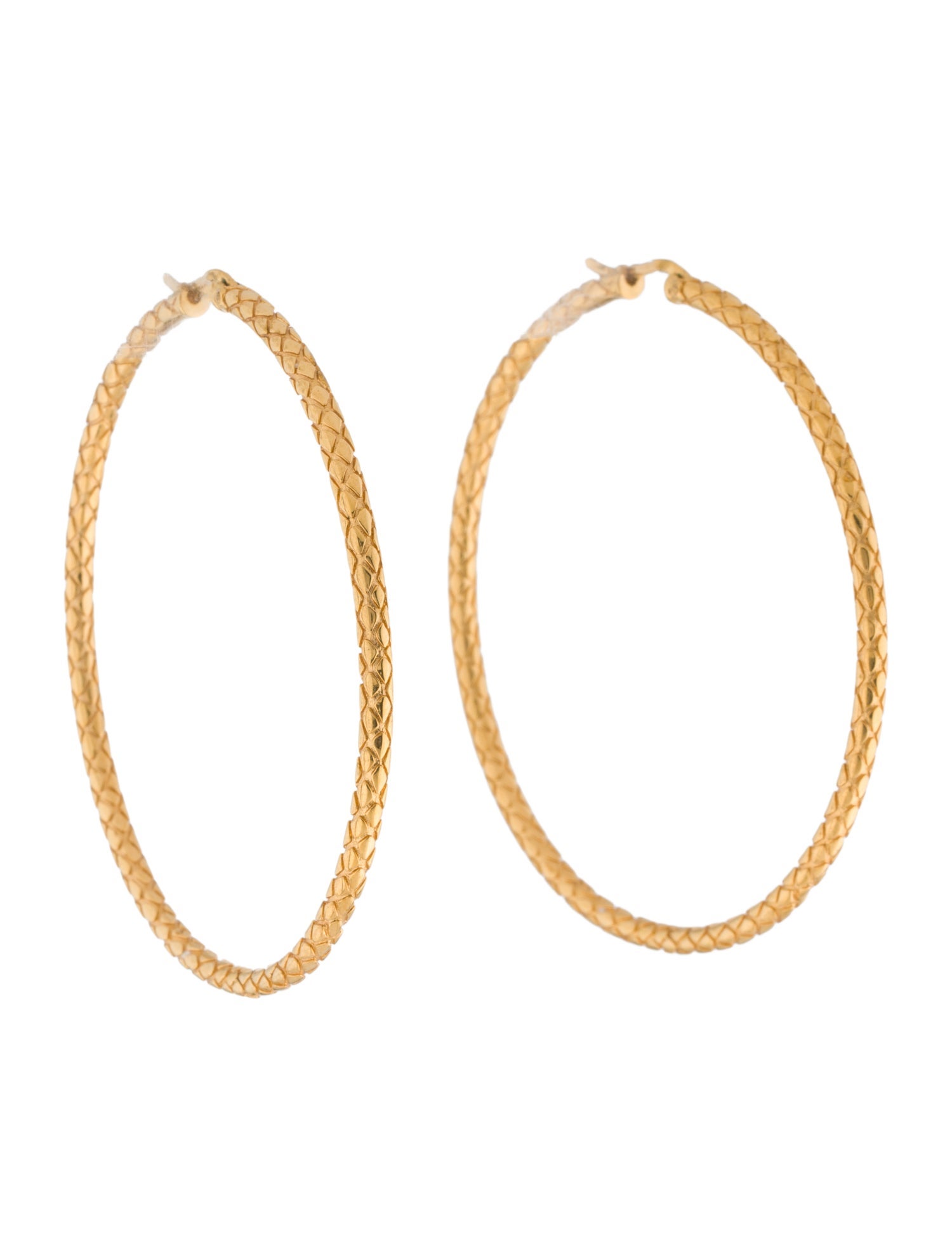 Celine Textured Hoop Earrings