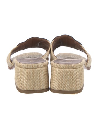 Celine Straw Espadrilles