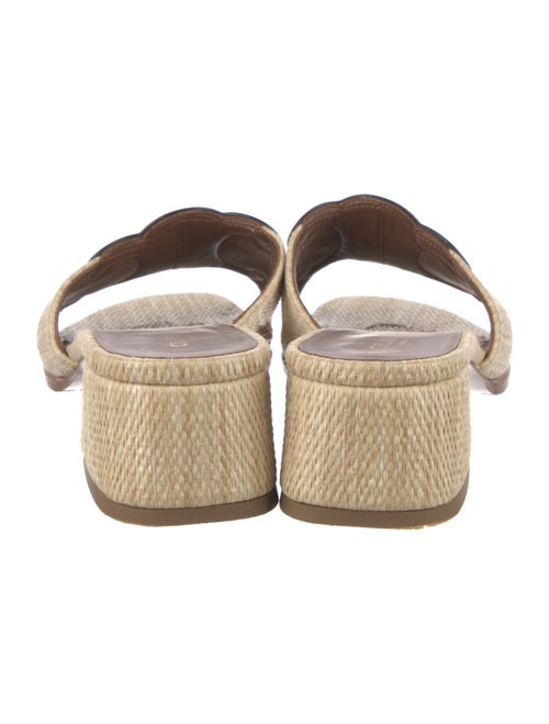 Celine Straw Espadrilles