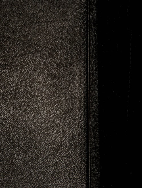 Celine Leather Luggage Micro