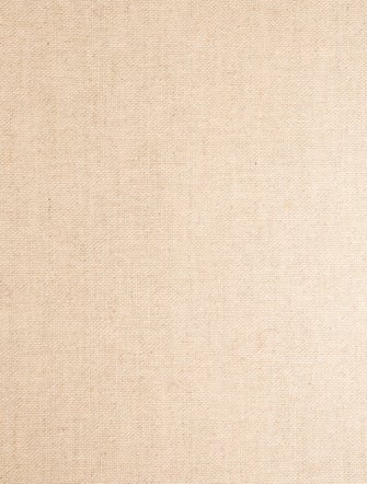 Celine Canvas Cabas Thais Large 2023