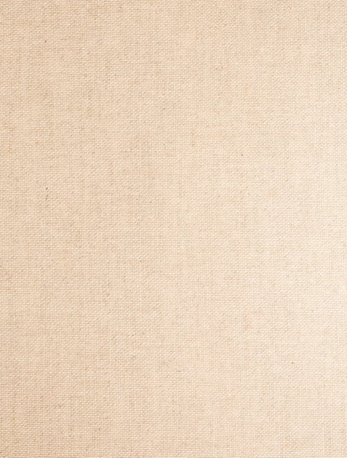 Celine Canvas Cabas Thais Large 2023