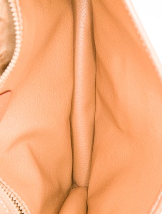 Celine Triomphe Portfolio