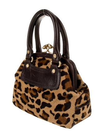 Celine Ponyhair Frame