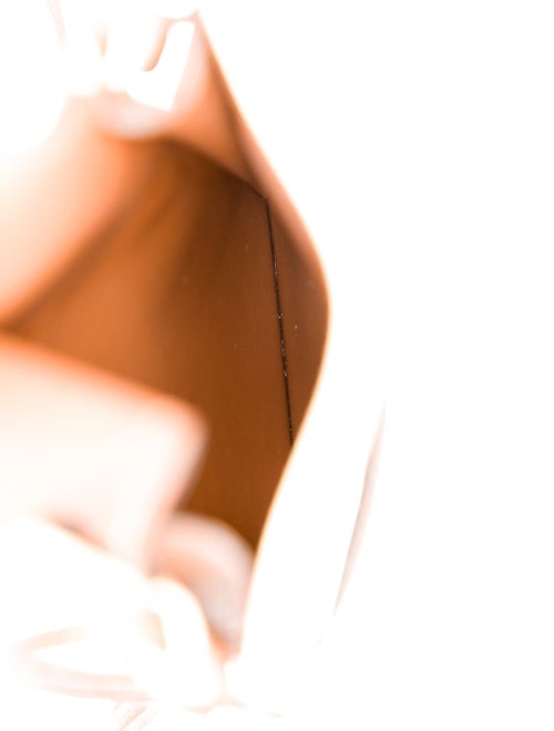 Celine Triomphe Triomphe phone pouch